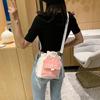 Cute Canvas Bag New Solid Color, Small Ear Crossbody Bag Women's Ins Style Large Capacity Crossbody Bag