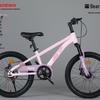 Phoenix Kids Mountain Bike