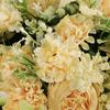 7-head Artificial Felice Rose Flower Simulation Fake Rose Silk Flowers Wedding Bridal Bouquet Home Decoration Photography Props