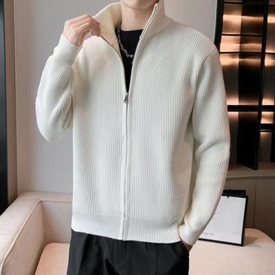 Men Sweater Coat Zipper Closure Knit Elastic Long Sleeves Stand Collar Outerwear Pure Color Casual Cardigan Daily Wear School Mid Length Jacket
