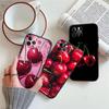 Kirsch Sommerfrucht Hülle für Samsung A11 A12 A13 A15 A52S A53 A55 A56 A70 A71 A72 A73 F06 F16 F56 S10 Plus S10e
