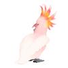 Simulated Bird Model Figure Children Static Bird Figurine Collection Educational Toy Birthday Gift