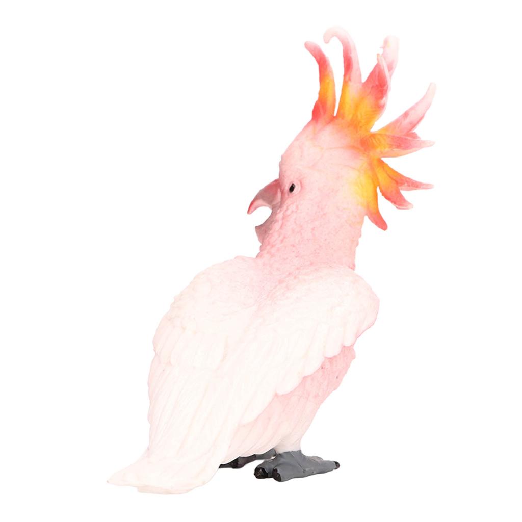 Simulated Bird Model Figure Children Static Bird Figurine Collection Educational Toy Birthday Gift