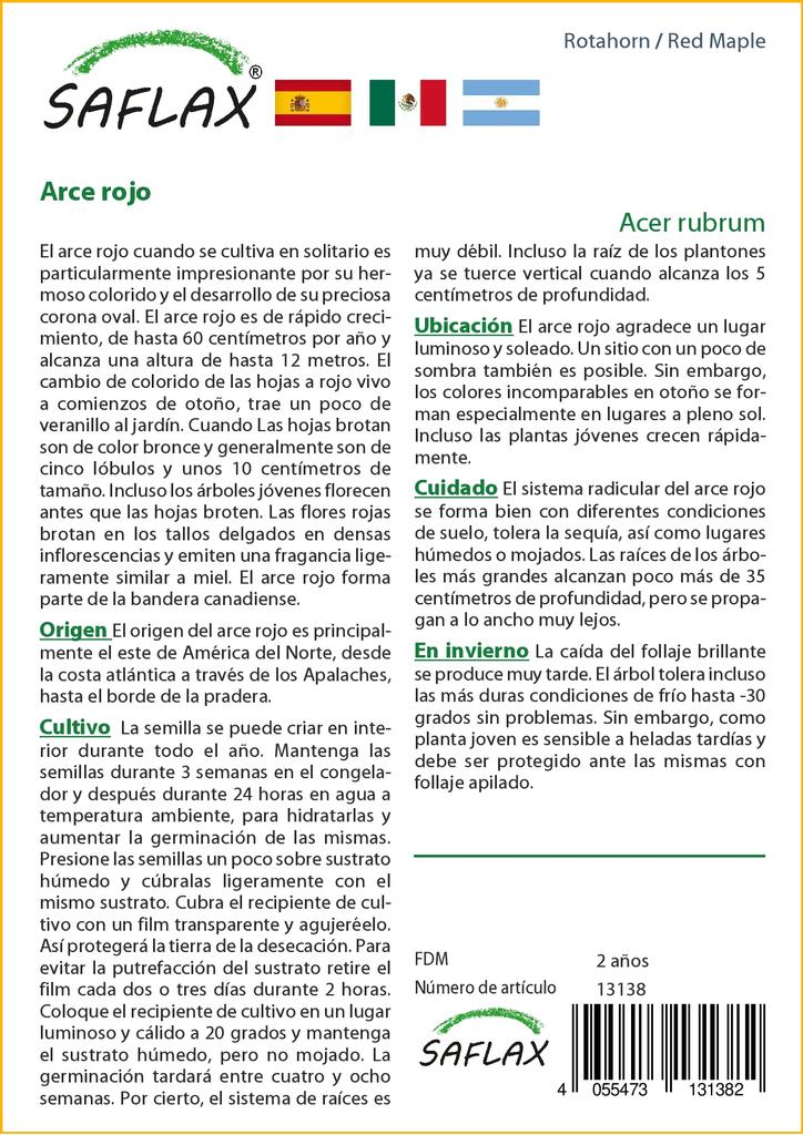 SAFLAX Red Maple - 20 Seeds - Acer Rubrum