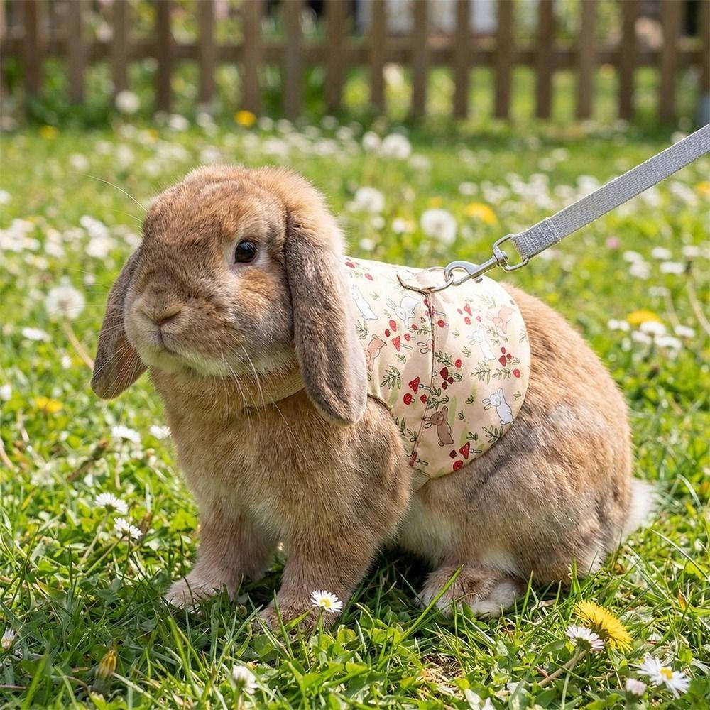 Adjustable Guinea Pigs Vest Flower Pattern Walking Harness Pet Harness and Leash  Outdoor Use