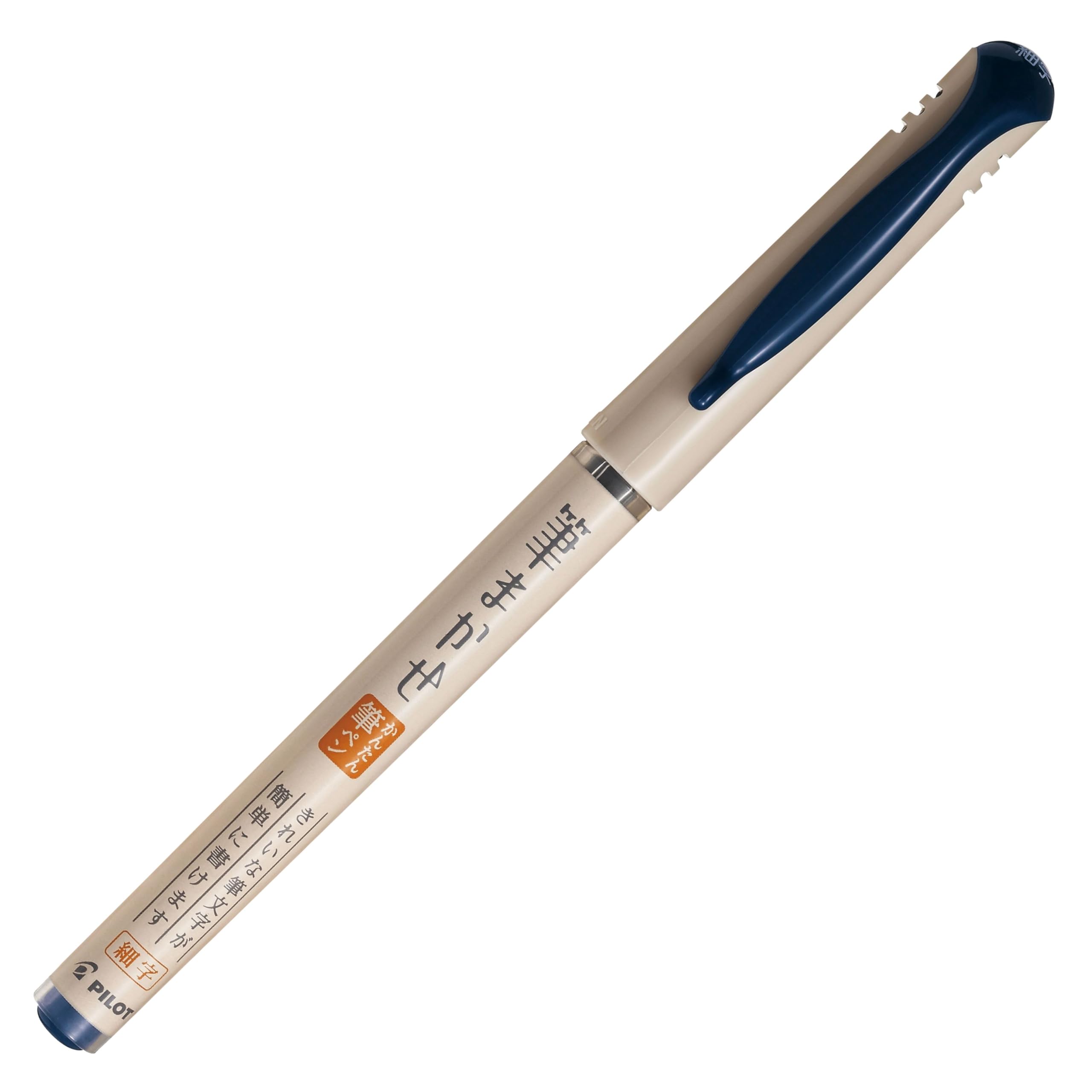 

PILOT Brush Fine 5 SFM100F5BB Pen, Brush-Based, Point, Blue-Black, Pens,