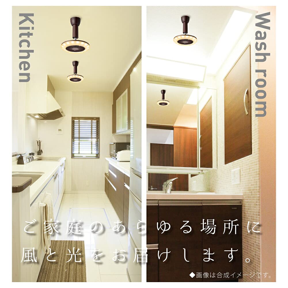 DOSHISHA DSLH60LDW Circulate Light, Warm White, Wood Grain Finish, Ceiling Light with Remote Control