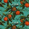 Outdoor Dekostoffe Oxford - Motiv Obst | Dx6306