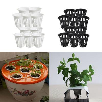 20pcs Cups Basket Aeroponic Planting S