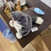 Lucifer Cat Plush Toy - Cinderella's Feline Companion
