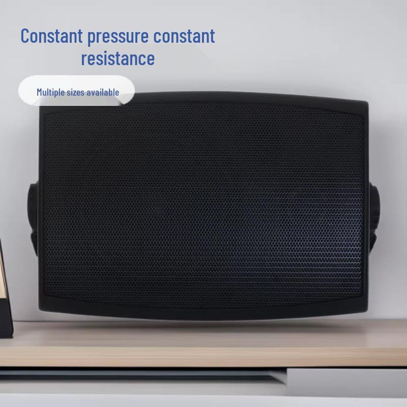 Wall-Mounted Speaker for Conference Rooms, Coffee Shops, Dance Studios, and Yoga Studios
