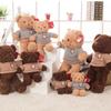 Teddy Bear Doll Plush Teddy Bear Hug Bear Rag Doll Girl Wedding Birthday Gift Female Throw Pillow