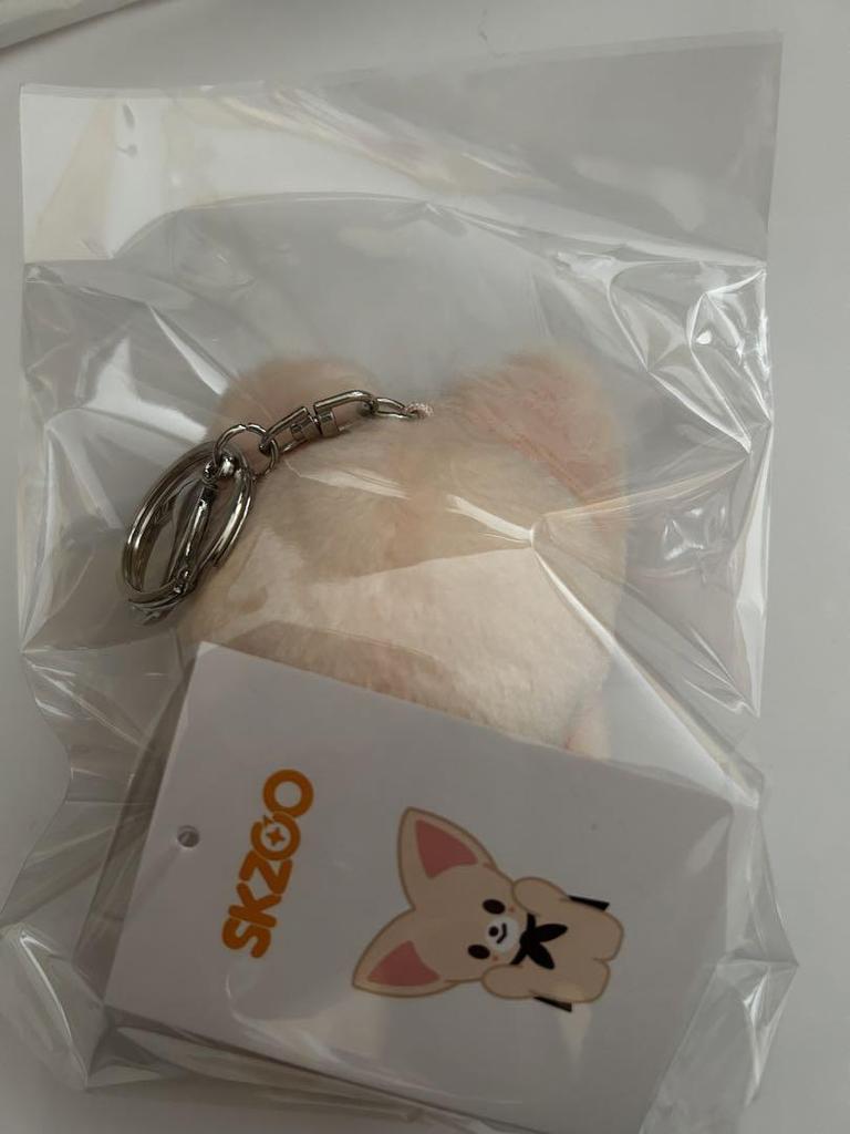 [USED] straykids Ien Foxiny Magnetic Key Ring