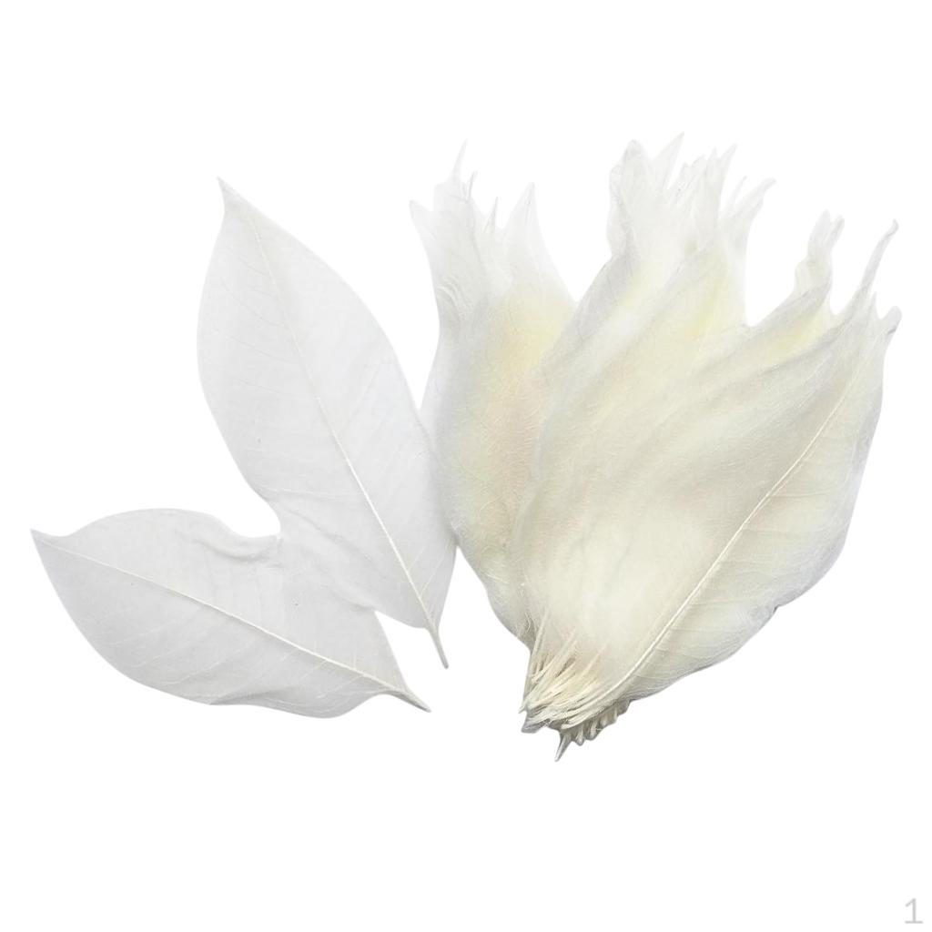 10 шт. Скелетные листья Вуаль DIY Изготовление открыток White