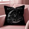 A-Andy Biersack V-Veil Brides Cushion Cover Multi-Scene Pillow Cover for Home & Car - Reversible, Soft & Durable for Daily Use