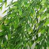 90cm Artificial Hanging Willow Leaves for Wall or Ceiling Decoration