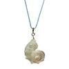 Conch Pendant Collarbone Necklace Crafted Of Shell and Cord Portable Jewelry for Women Beach Styles Accessory