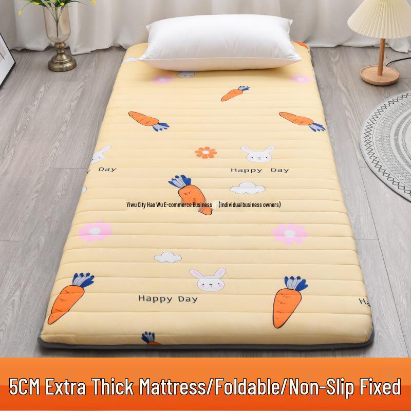 Winter Sponge Mattress Pad for Dormitory or Child's Bedroom