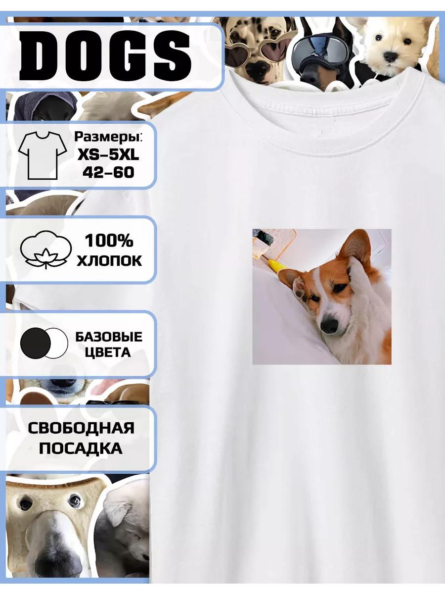 Meme Dog Print T-shirt 4XL