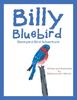 The Billy Bluebird : Backyard Bird Adventure Book