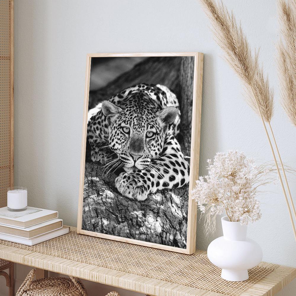 Black White Retro Fashion Photography Art Modern Movie Poster Print Vintage Animal Funny Cover Canvas Painting Room Home Deco