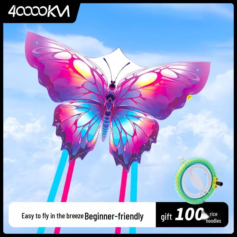 

Easy Fly Kite Set for Adults and Kids