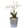 5pcs Water-storing Transparent Green Mountain Pot, Self-absorbing Lazy Person Control Root Pot, Phalaenopsis Pot, Plastic Flower