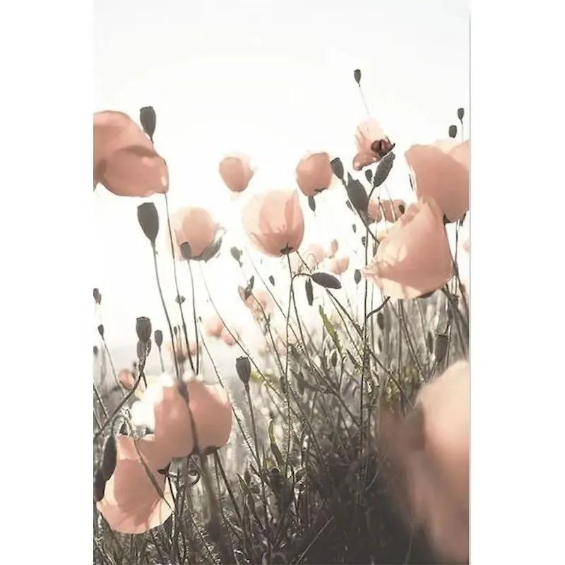 GATYZTORY Oil Picture By Numbers Nature Landscape Drawing Canvas Wall Art Oil  By Numbers Home Decor Gift