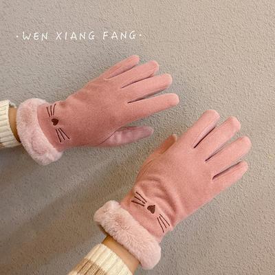 Handschuhe Herbst und Winter Damen verdickt warm Reiten niedlich Samt Radfahren elektrisch kalt fünf Finger Winter