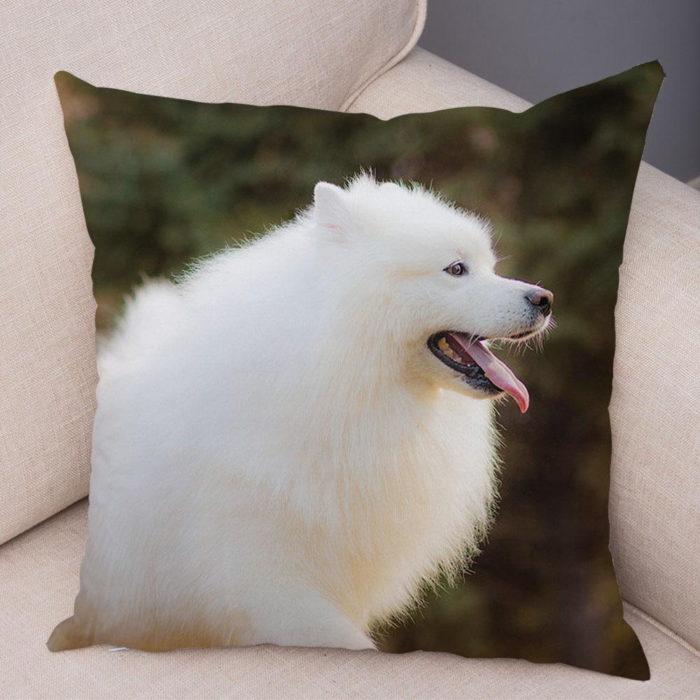 50 Stil Husă de Pernă Câine Alb Drăguț Samoyed Decor Husă de Pernă Animal de Companie Iubitor Husă de Pernă Moale de Pluș pentru Canapé Cameră Copii