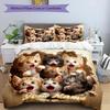 3PC Custom Name Kittens Through Wall Bedding Set Printed Bedding Set Duvet Cover Closure Includes 1 Duvet Cover & 2 Pillowcases for All Seasons Bedroo