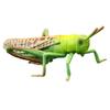 Model Locust Animal Toddler Christmas Decorations Ornaments Plastic Kid Cognitive Toy