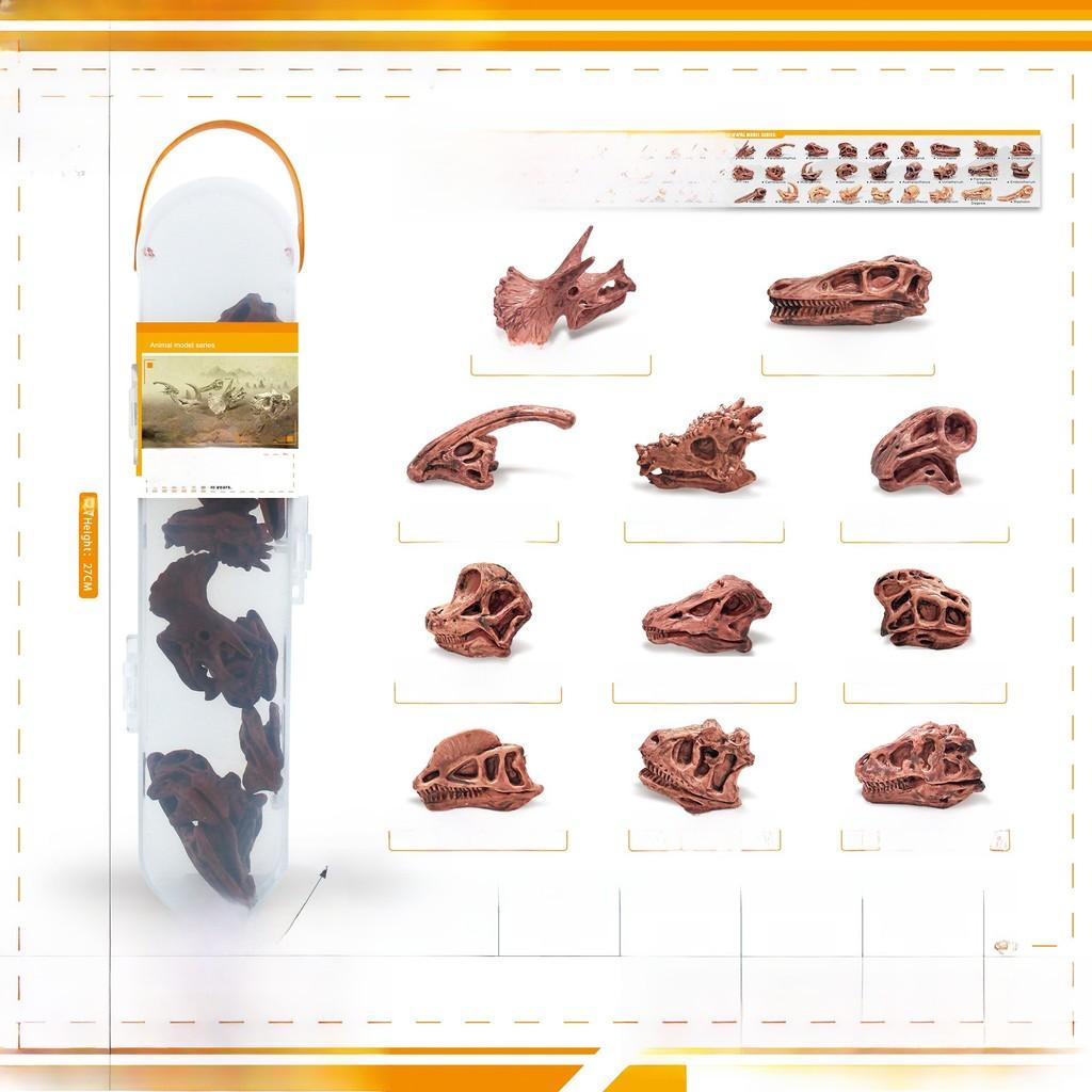 

Ancient Egyptian Space Human Body Model Storage Box Set Pvc Collectors Edition For Educational Display StyleCC