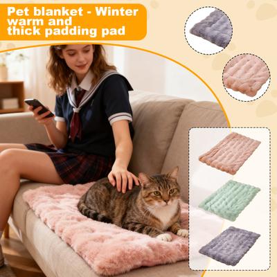 Pet Blanket, Thickened For Winter Warmth, Suitable For All Seasons, Cats Bed Blanket, Dog Blanket