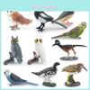 Bird Animal Model With Plastic Material For Home Decor And Collecting