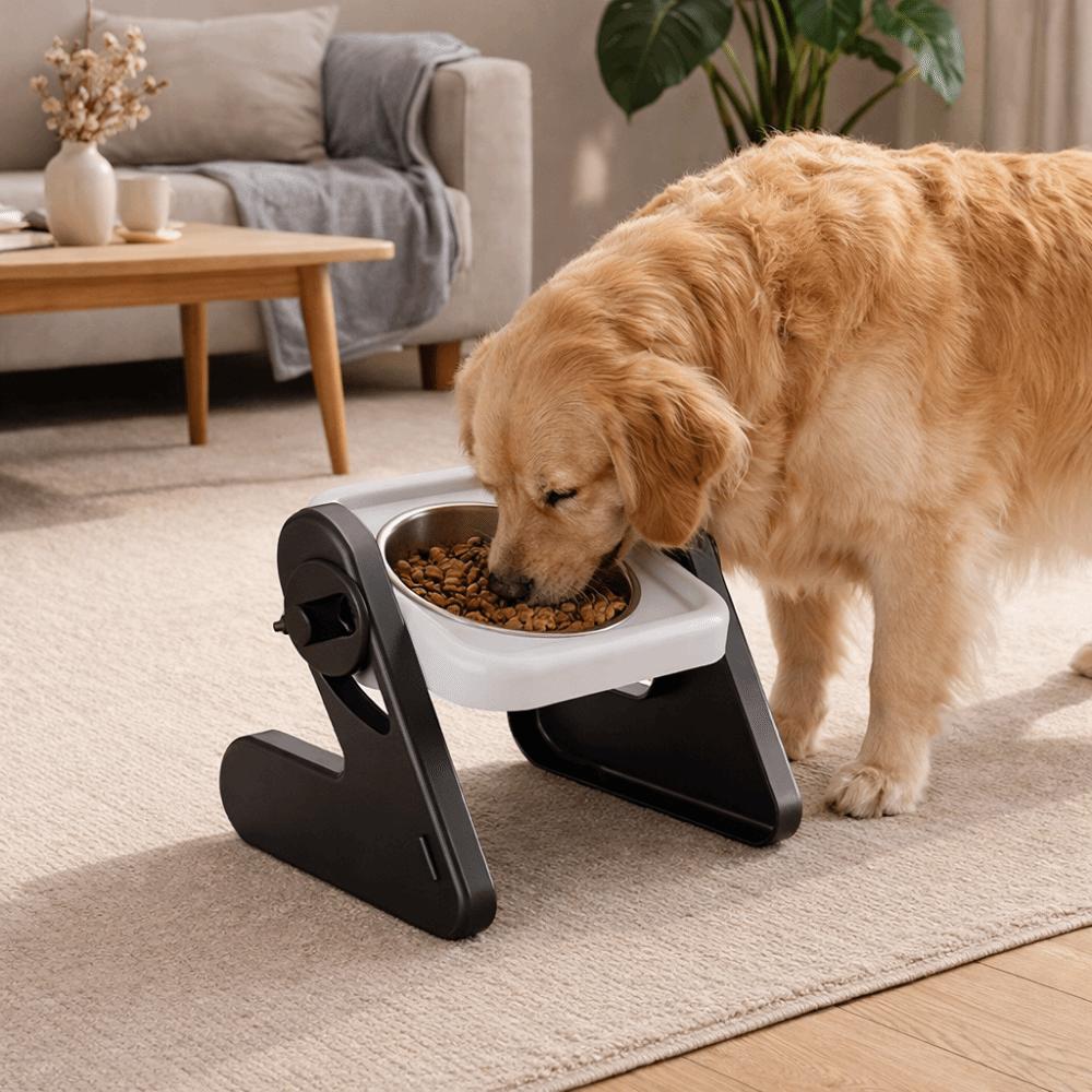 Stainless Steel Elevated Pet Bowl Non-Slip Anti-flip Raised Dog Bowl Adjustable Height with Stand Cat Double Bowl