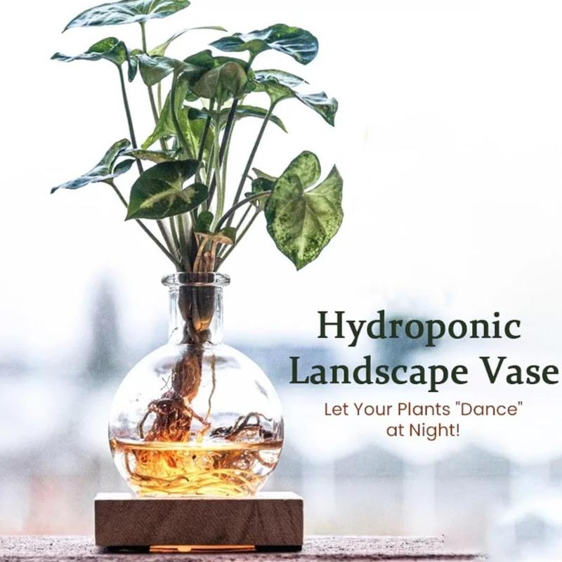 LED Illuminated Hydroponic Glass Vases For Visible Plant Root Growth Display And Ambients Night Light Decoration Home Office
