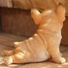 Devalier Ca183 Dog Figurine French Bulldog Made of Perfect Gift [Genuine] Resin,