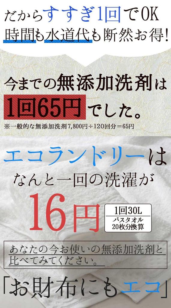 detergent Eco Laundry Safe for babies with sensitive skin Surfactant free Approximately 120 uses Made in Japan Additive-free (2)