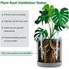 10pcs Transparent Plastic Soil Air Circulation Tubes Lightweight Durable Plant Root Ventilation Tubes For Prevent Root Rot