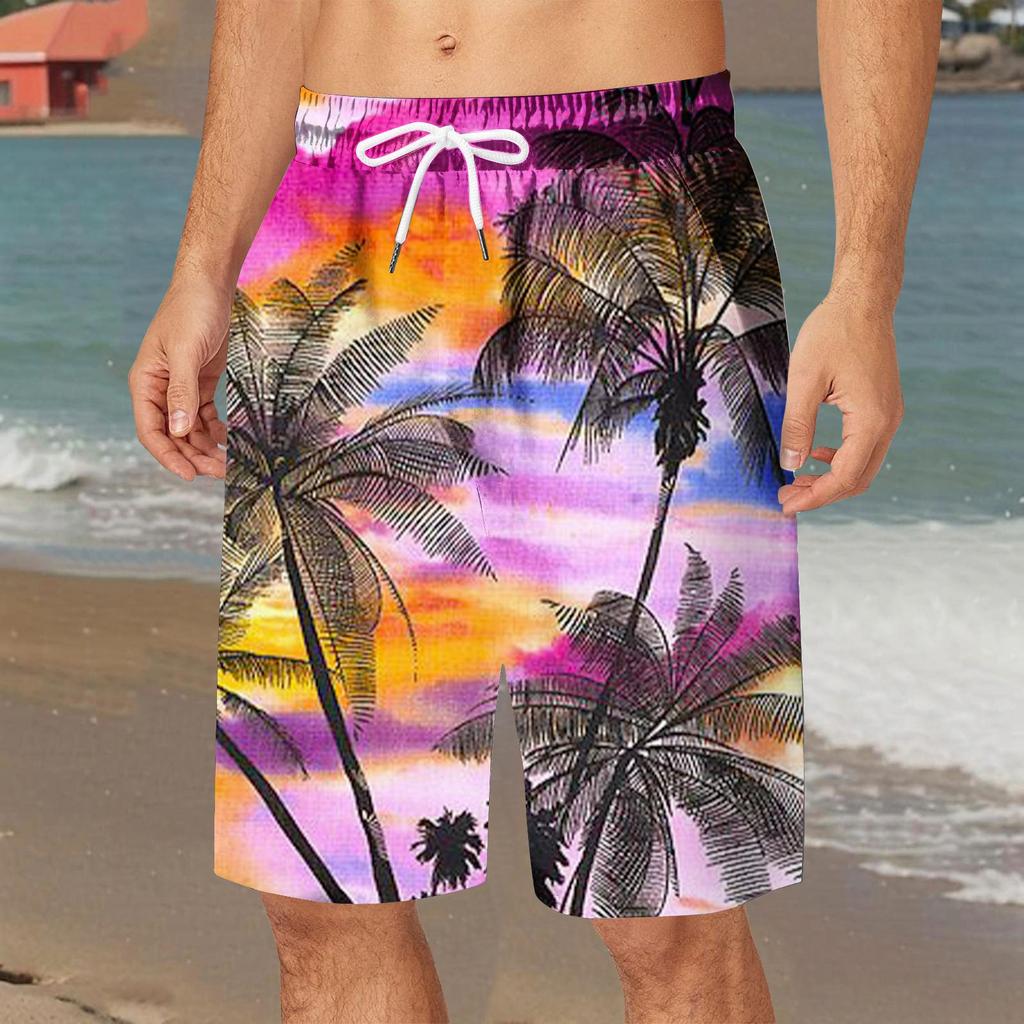 Hawaiian Style 3d Printed Summer Men'S Shorts Quick Dry Swimming Shorts Oversized Casual Beach Pants Fashion Trend Men Clothing