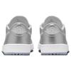 Air Jordan 1 Low Golf Gift Giving Pack Unisex Sneakers Silver Metallic-Silver Photon-Dust FD6848-001