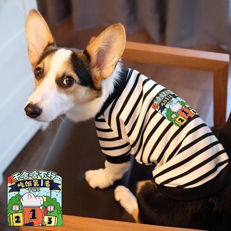 Pet Corgi Dog Clothes Spring and Autumn Clothing Anti-hair Loss Teddy Bichon Shiba Inu Small Dog Two-legged Striped Sweater Winter