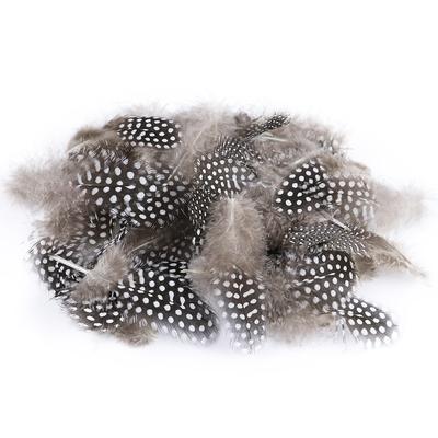 100 PIÈCES Plumes de Pintade Faisan Plumes Naturelles Tachetées 5-8cm Plumes pour Artisanat Attrape-Rêves Décoration de Plumes