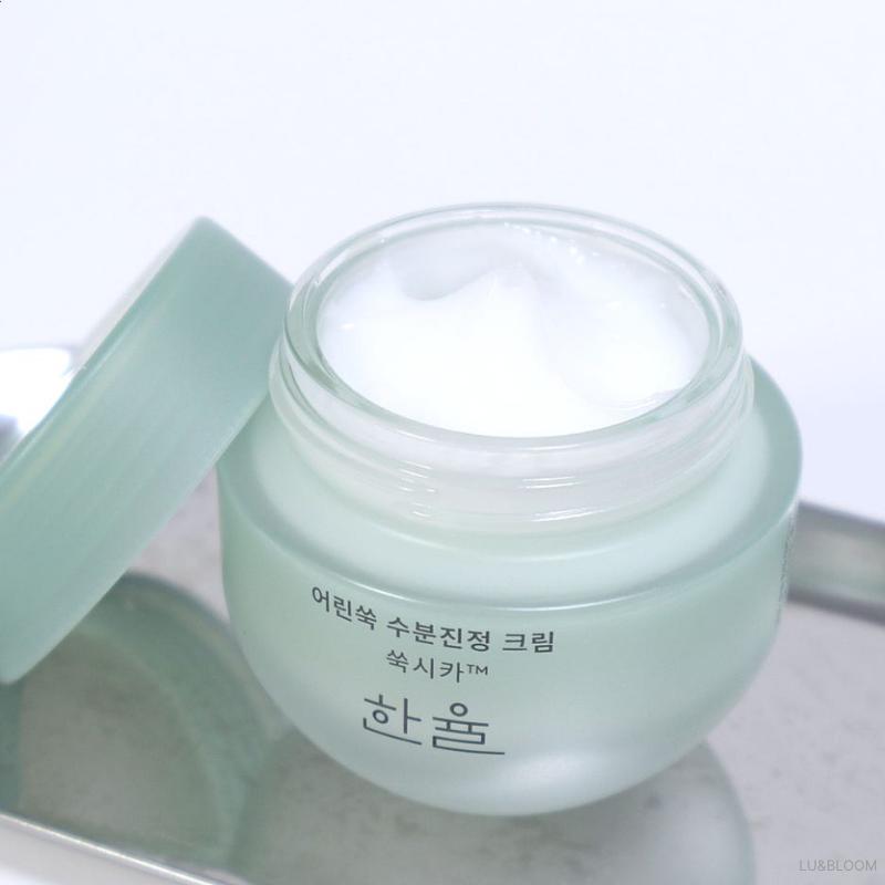 Hanyul Pure Artemisia Calming Water Cream 55ml (+Free Gift)