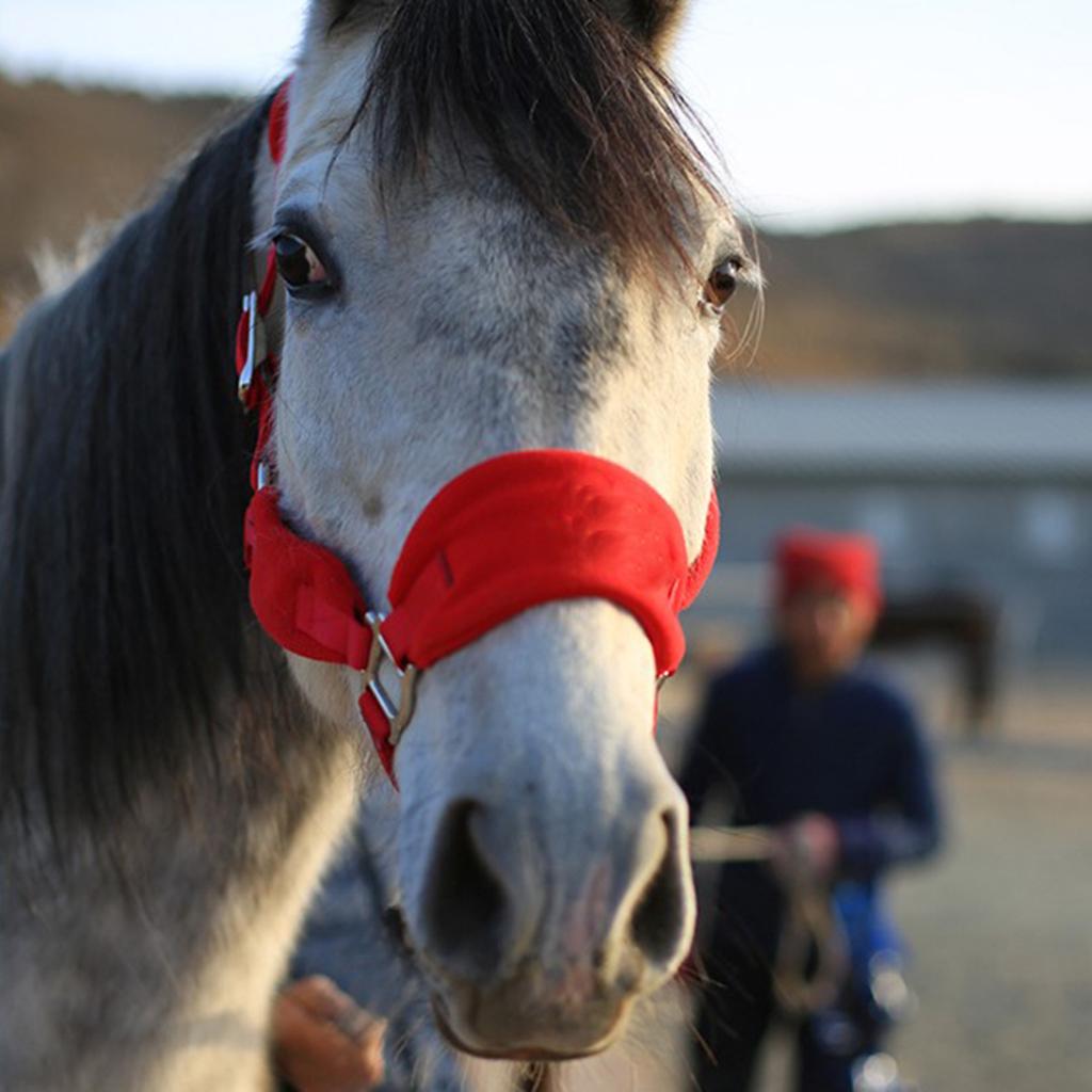 padded bridle bolsa