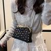 Fashion Portable Shell Bag 2025 New Foreign Trend Su Shoulder Bag Pearl Chain Messenger Women's Bag