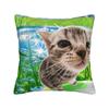 Frutiger Aero Art Pillow Case  Print Pillow Cover For Sofa Home Decoration Novelty Pillowcases