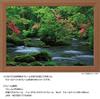 Yanoman [Made In Japan] 108-Piece Jigsaw Puzzle, Large Pieces, Japanese Landscape: The Refreshing Oirase Gorge, Aomori (26x38cm), 01-2086, Includes