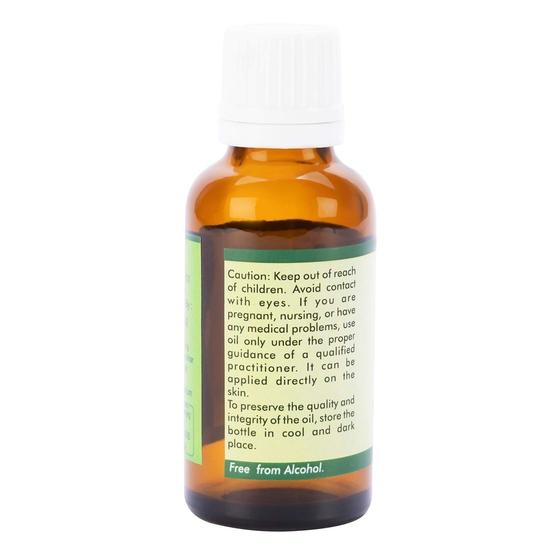 R V Essential Prunus Armeniaca Pure Apricot kernel Carrier Oil 30ml